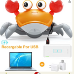 CANGREJO CAMINADOR MONTESSORI USB