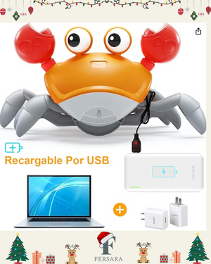 CANGREJO CAMINADOR MONTESSORI USB